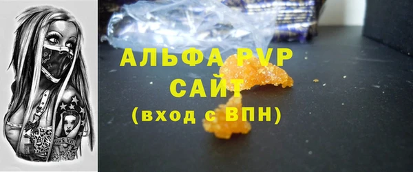 соль ск Новозыбков