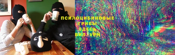 соль ск Новозыбков