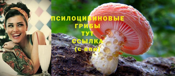 МДПВ Новодвинск