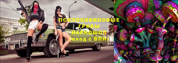 МДПВ Новодвинск