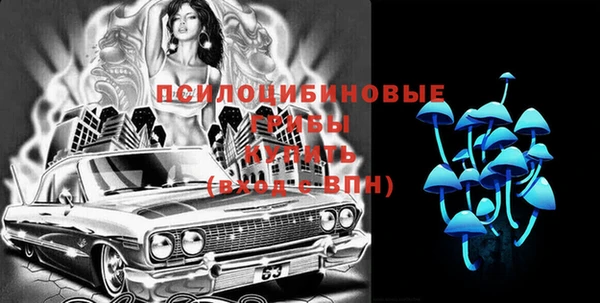 ГАЛЛЮЦИНОГЕННЫЕ ГРИБЫ Новокубанск