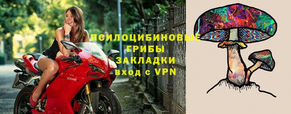 МДПВ Новодвинск
