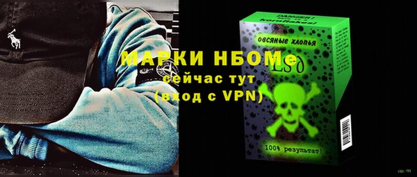 соль ск Новозыбков