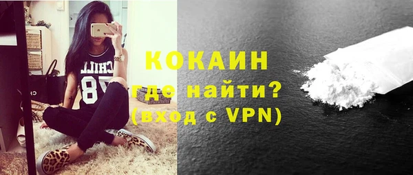 соль ск Новозыбков