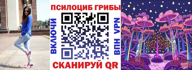 как найти закладки  Ступино  Псилоцибиновые грибы мицелий 